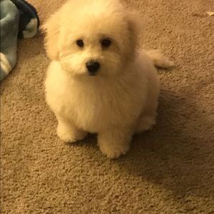 Meet your Posher, Jorge